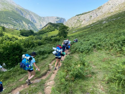 51352944056_c17d76a656_o